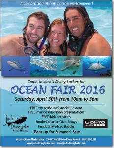 Ocean Fair 2016