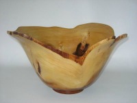 Young Growth Koa Don Albrecht bowl